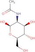 N-Acetyl-D-mannosamine