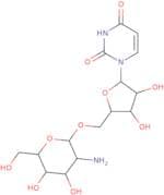 5'-O-(2-Amino-2-deoxy-b-D-glucopyranosyl)-uridine