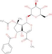 6-O-Benzoylphlorigidoside B