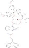 2'-Deoxy-5’-O-DMT-N6-Fmoc-adenosine 3'CE-phosphoramidite