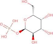 α-D-Galactose-1-phosphate