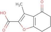 3-Methyl-4-oxo-4,5,6,7-tetrahydro-benzofuran-2-carboxylic acid