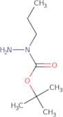 N-Propyl(tert-butoxy)carbohydrazide