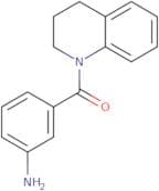 3-(1,2,3,4-Tetrahydroquinoline-1-carbonyl)aniline