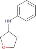 N-Phenyloxolan-3-amine