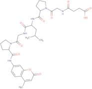 Suc-Gly-Pro-Leu-Gly-Pro-AMC