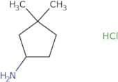 3,3-Dimethyl-cyclopentylamine hydrochloride