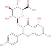 Kaempferol 3-O-b-D-glucuronide