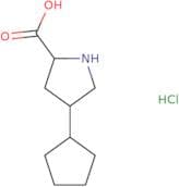 4-Cyclopentylpyrrolidine-2-carboxylic acid hydrochloride