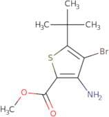 Methyl 3-amino-4-bromo-5-tert-butylthiophene-2-carboxylate