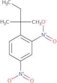 1-(2-Methylbutan-2-yl)-2,4-dinitrobenzene