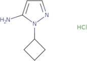 1-Cyclobutyl-1H-pyrazol-5-amine hydrochloride
