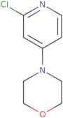 2-Chloro-4-morpholinopyridine