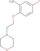 5-Fluoro-2-[2-(morpholin-4-yl)ethoxy]aniline