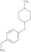 {4-[(1-Methylpiperidin-4-yl)oxy]phenyl}methanamine