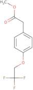 Methyl 2-[4-(2,2,2-trifluoroethoxy)phenyl]acetate