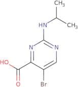5-Bromo-2-(propan-2-ylamino)pyrimidine-4-carboxylic acid