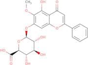 Oroxylin A 7-O-glucuronide