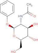 Phenyl 2-acetamido-2-deoxy-β-D-glucopyranoside