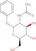 Phenyl 2-acetamido-2-deoxy-α-D-glucopyranoside