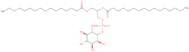 L-a-Phosphatidyl-(1,2-dipalmitoyl)-D-myo-inositol