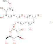 Petunidin 3-glucoside chloride