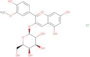 Peonidin-3-O-galactoside chloride