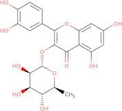 Quercetin 3-α-L-rhamnoside