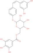 Resveratrol-4’-O-(6”-galloyl)glucoside