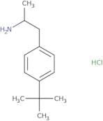 (2R)-1-(4-tert-Butylphenyl)propan-2-amine hydrochloride