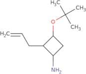 3-(tert-Butoxy)-2-(prop-2-en-1-yl)cyclobutan-1-amine