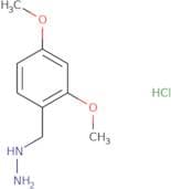 (2,4-dimethoxybenzyl)hydrazine hcl