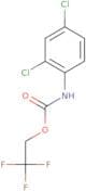 2,2,2-Trifluoroethyl N-(2,4-dichlorophenyl)carbamate