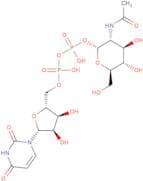 UDP-N-acetyl-D-glucosamine