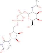 UDP-GalNAc disodium salt