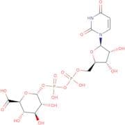 UDP-α-D-galacturonic acid