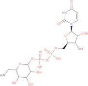 UDP-6-amino-6-deoxy-D-glucose