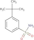 3-tert-Butylbenzene-1-sulfonamide