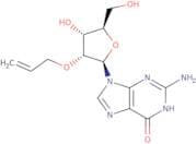 2'-O-Allylguanosine
