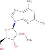 2-Amino-2'-O-methyladenosine