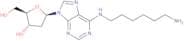 N6-(6-Aminohexyl)-2'-deoxyadenosine