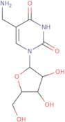 5-Aminomethyluridine