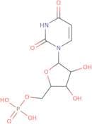 1-b-D-Arabinofuranosyluracil 5'-monophosphate