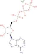 Adenosine 5'-triphosphate magnesium salt