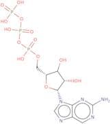 2-Amino-9-(b-D-ribofuranosyl)purine 5'-O-triphosphate - 10mM aq. solution