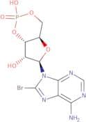 8-Bromoadenosine 3',5'-cyclic monophosphate