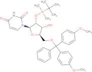 2'-O-tert-Butyldimethylsilyl-5'-O-DMT-uridine