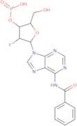 N-Benzoyl-2'-deoxy-2'-fluoroadenosine, 3'-(hydrogen phosphonate)