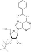N6-Benzoyl-3'-O-tert-butyldimethylsilyl-2'-methyladenosine