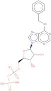 N6-Benzyladenosine 5'-diphosphate sodium salt - 10 mM aqueous solution